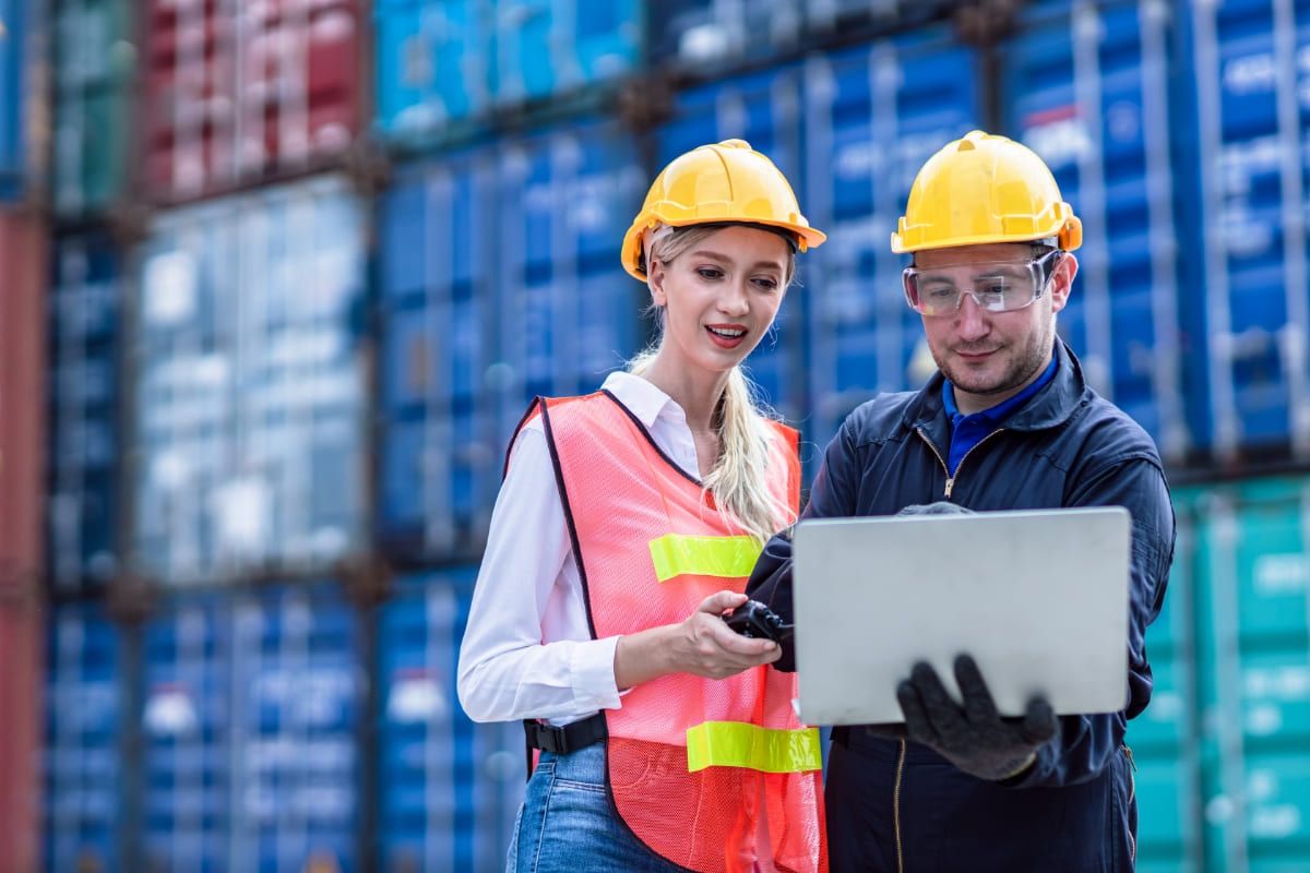 Customs clearance process